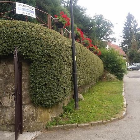 Noclegi U Andrzeja Duszniki Zdrój Exterior foto